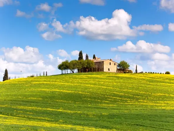 Mercado imobiliário rural