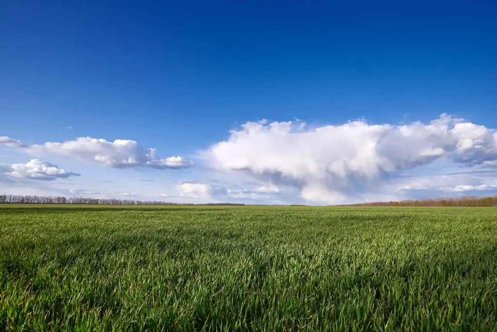 Habilidades no mercado imobiliário rural 525A 3 Investimento rural agricultura e pecuária