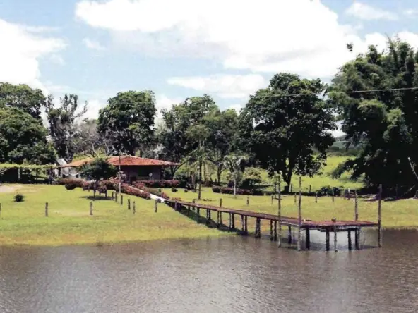 Fazenda a venda em Poconé MT Mato Grosso 2400 hectares 2 Fazenda a venda em Poconé MT