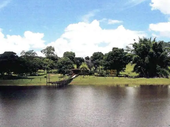 Venda fazenda Poconé MT