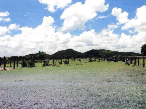 Venda fazenda Poconé MT