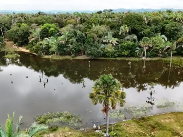 Venda fazenda Santo Antonio do Leverger Mato Grosso