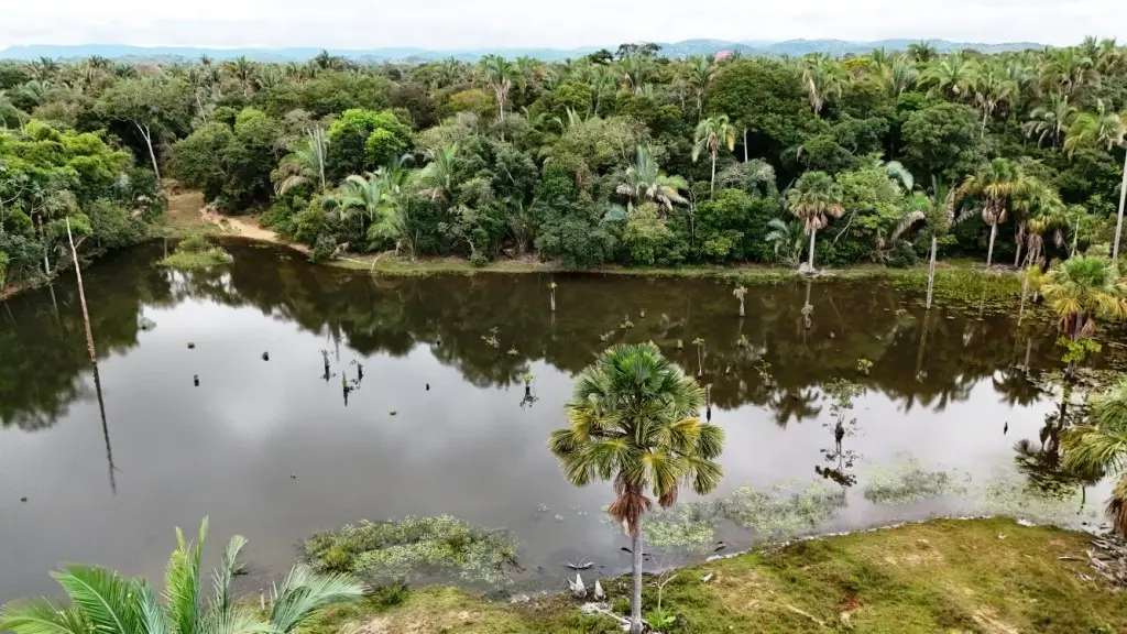 Venda fazenda Santo Antonio do Leverger Mato Grosso