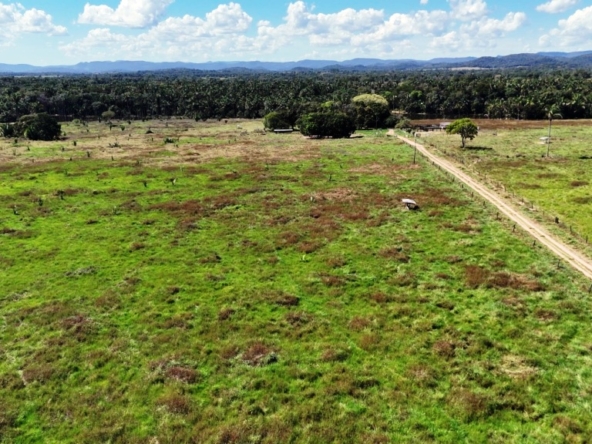 Venda fazenda Santo Antonio do Leverger Mato Grosso
