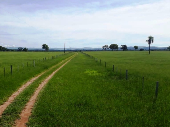Venda fazenda Santo Antonio do Leverger Mato Grosso