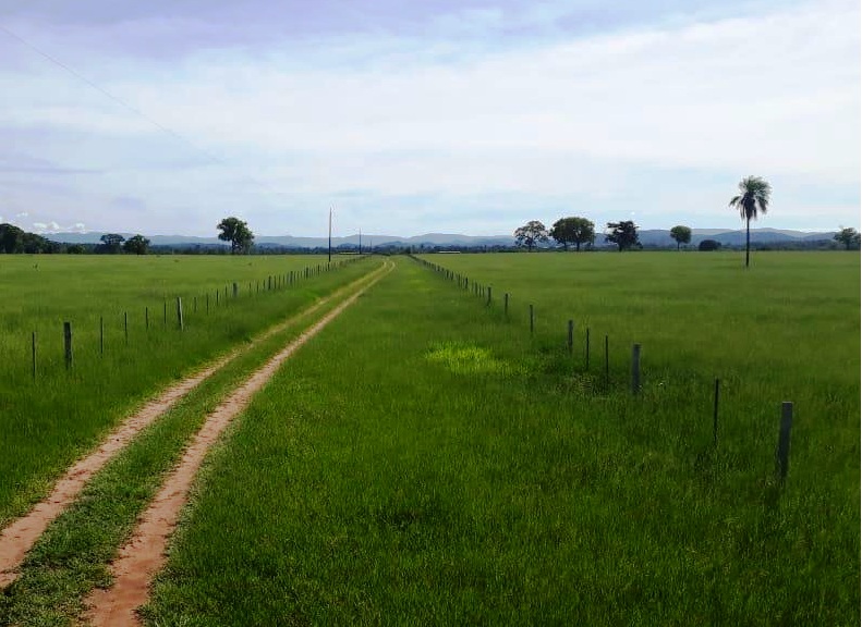 Venda fazenda Santo Antonio do Leverger Mato Grosso