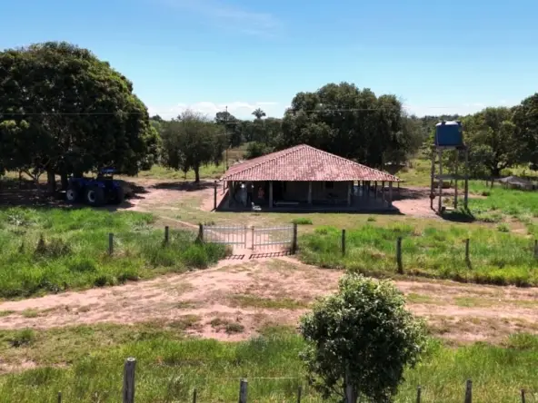Venda fazenda Santo Antonio do Leverger Mato Grosso