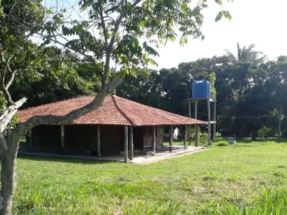 Venda fazenda Santo Antonio do Leverger Mato Grosso