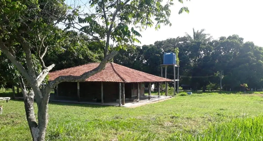 Venda fazenda Santo Antonio do Leverger Mato Grosso