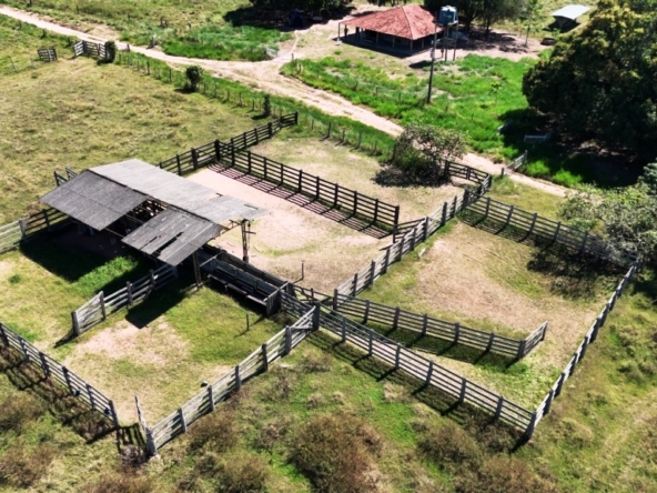 Venda fazenda em Santo Antonio do Leverger Mato Grosso