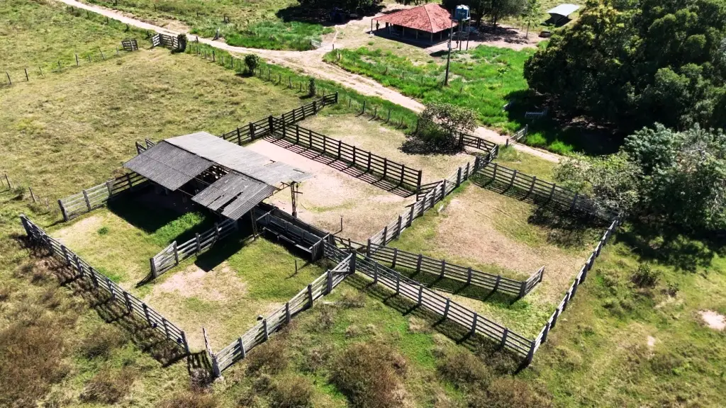 Venda fazenda em Santo Antonio do Leverger Mato Grosso 550 hectares 2 Venda fazenda em Santo Antonio do Leverger Mato Grosso