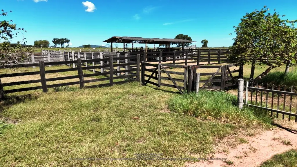 Venda fazenda Santo Antonio do Leverger Mato Grosso
