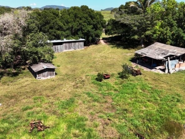 Venda fazenda Santo Antonio do Leverger Mato Grosso