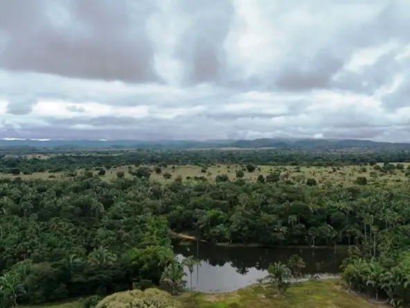 Venda fazenda Santo Antonio do Leverger Mato Grosso
