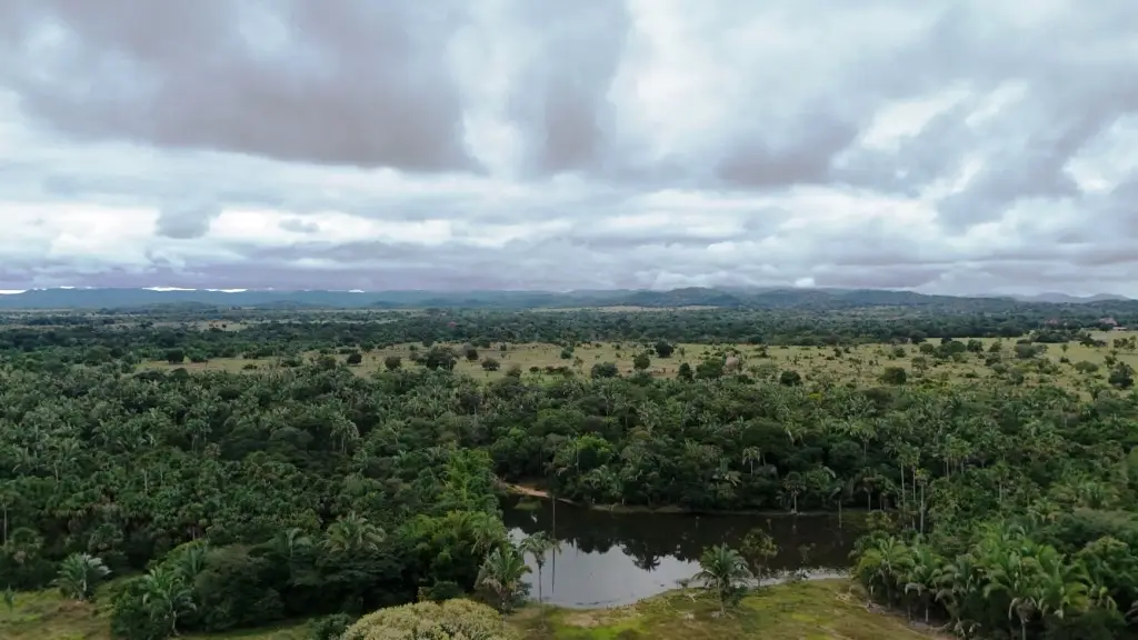 Venda fazenda Santo Antonio do Leverger Mato Grosso